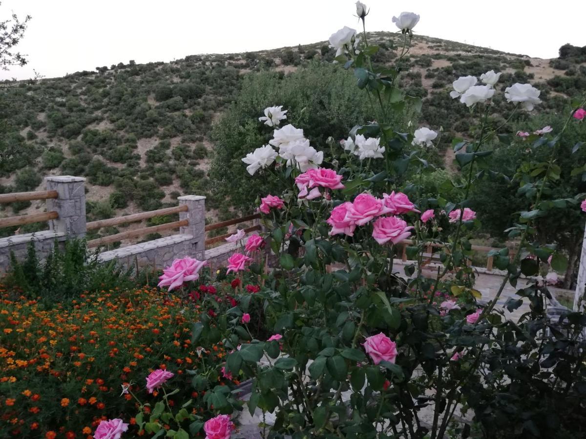 Villa Agno - Βίλα Αγνώ Ano Karies Екстериор снимка